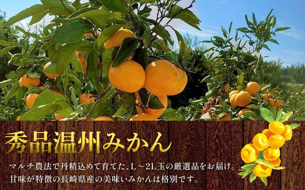 長崎県産 秀品温州みかん 5kg (贈答用可)