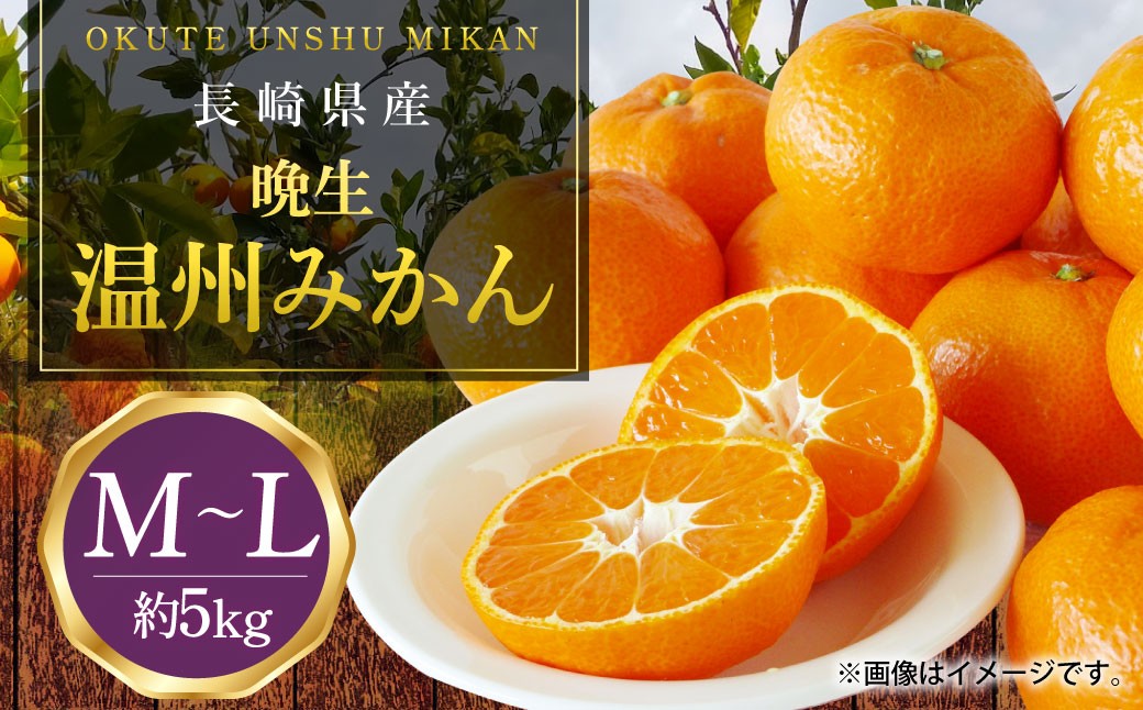 長崎県産 晩生温州みかん M～Lサイズ 5kg