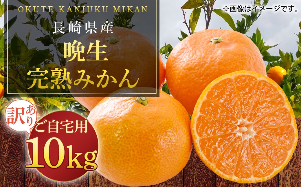訳あり 晩生完熟みかん10kg ( ご自宅用 ) 