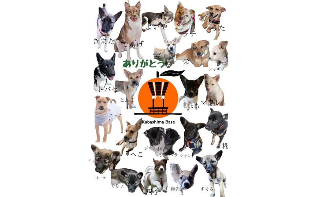 長崎県産 晩生温州みかん 3S～Sサイズ 5kg 小みかん