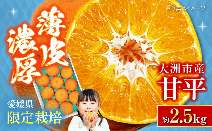 みかん ミカン 蜜柑 かんぺい 甘平 果物 くだもの フルーツ 愛媛県産 大洲市産 産地直送 おすすめ 人気