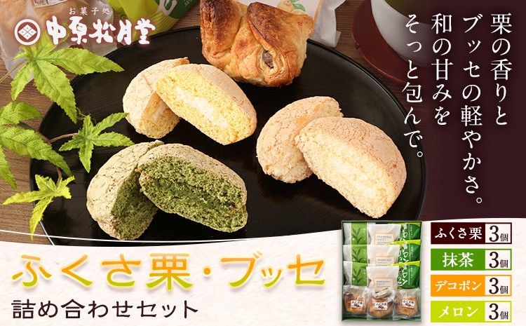 菊池銘菓 ふくさ栗・ブッセシリーズ詰め合わせセット 1箱(12個入り)