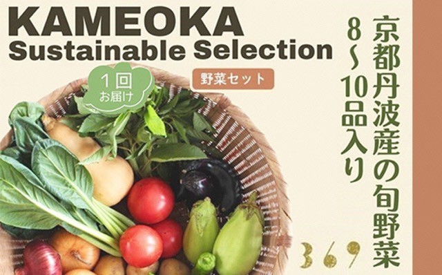 京都丹波産【栽培期間中農薬・化学肥料不使用】野菜セット