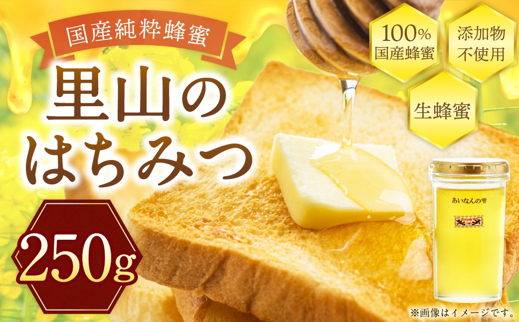 はちみつ 250g 蜂蜜 ハチミツ 蜜 みつ ミツ 常温 国産 愛媛県 【えひめの町（超）推し！（愛南町）】（328）