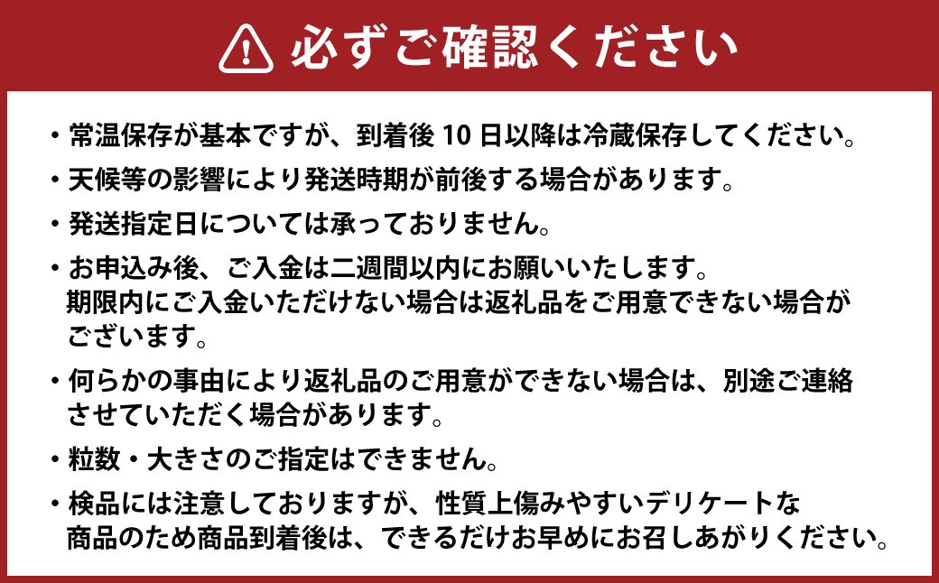 高糖度ミニトマト 約2kg