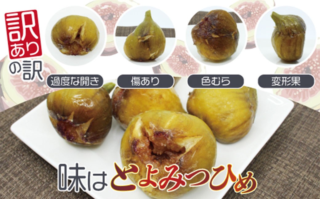 訳あり冷凍いちじく「とよみつひめ」2kg