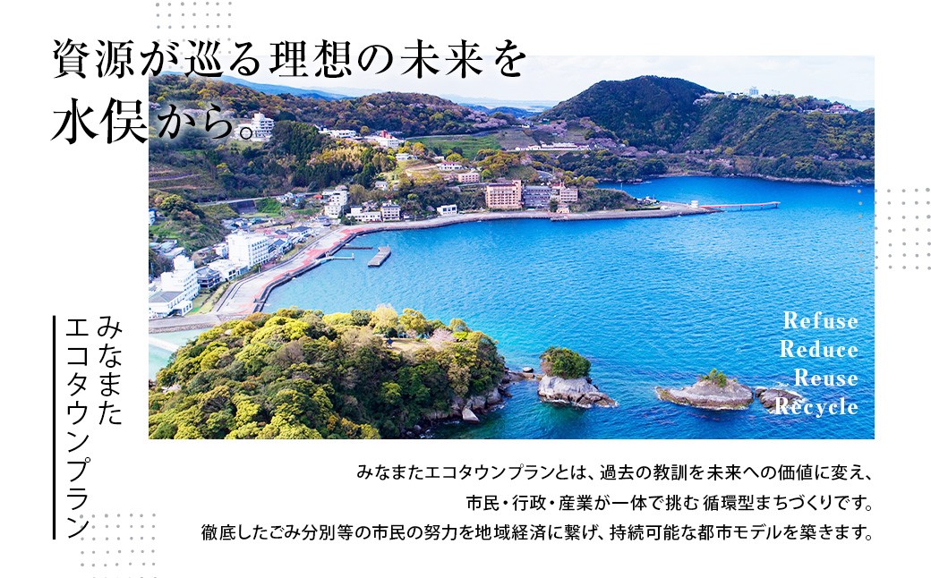 みなまたエコタウンペーパー 60個入 60ロール トイレットペーパー