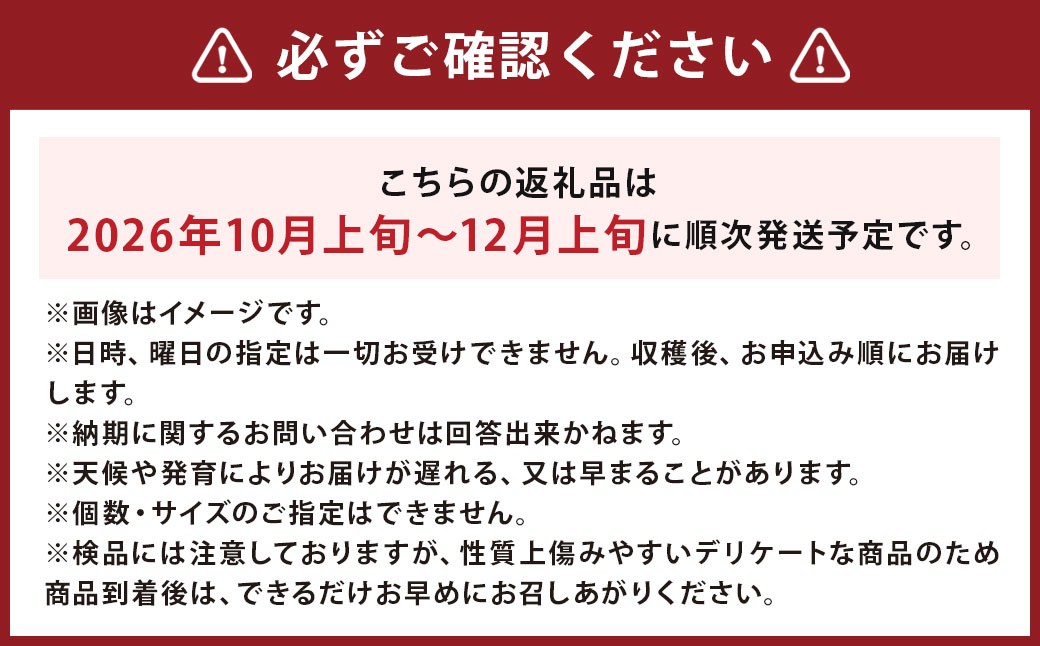 【先行受付】北海道産 情熱じゃが芋（男爵） Lサイズ 計約5kg