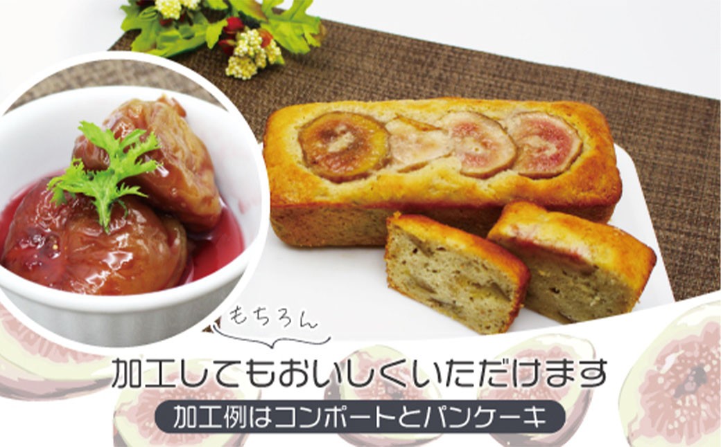 訳あり冷凍いちじく「とよみつひめ」1kg