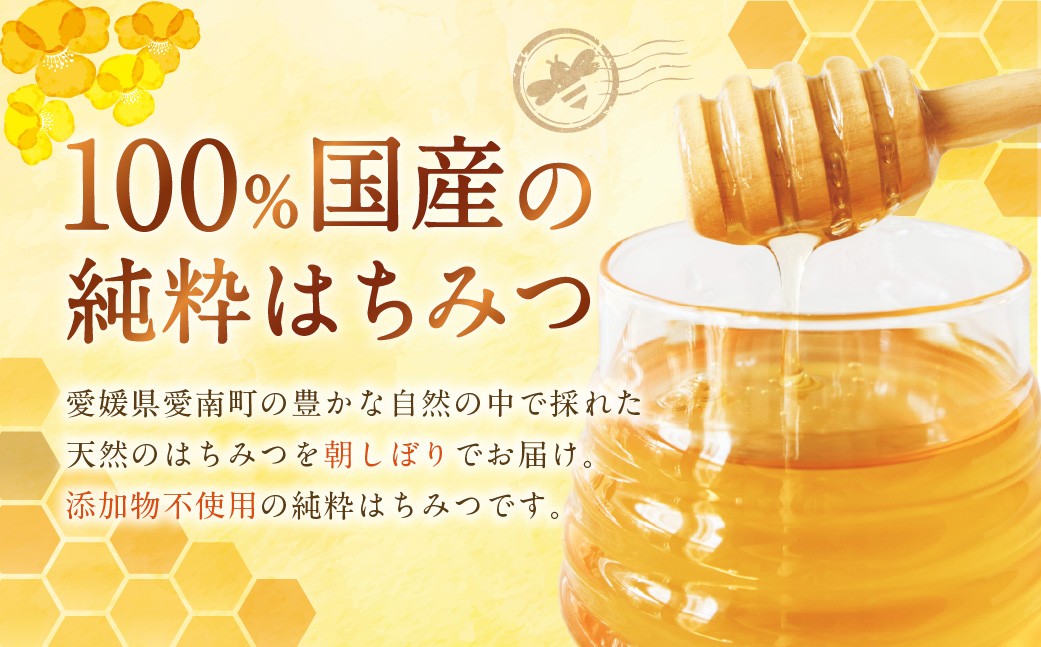 はちみつ 450g 蜂蜜 ハチミツ 蜜 みつ ミツ 常温 国産 愛媛県 【えひめの町（超）推し！（愛南町）】（327）