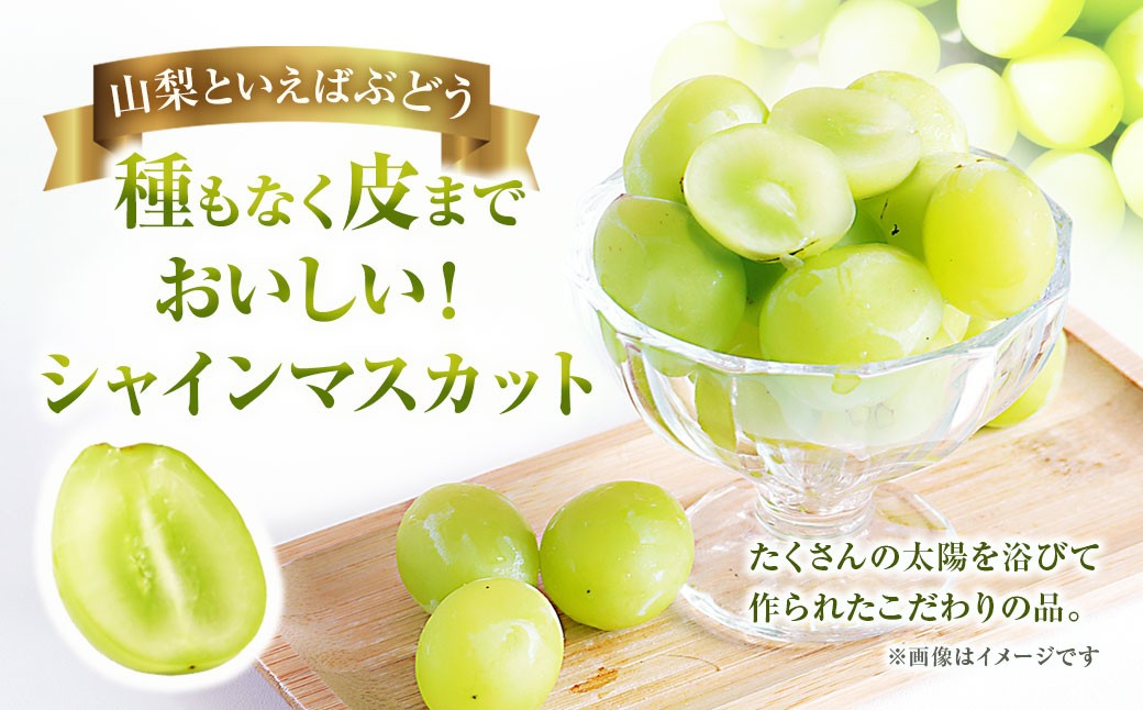 シャインマスカット 約1.8kg