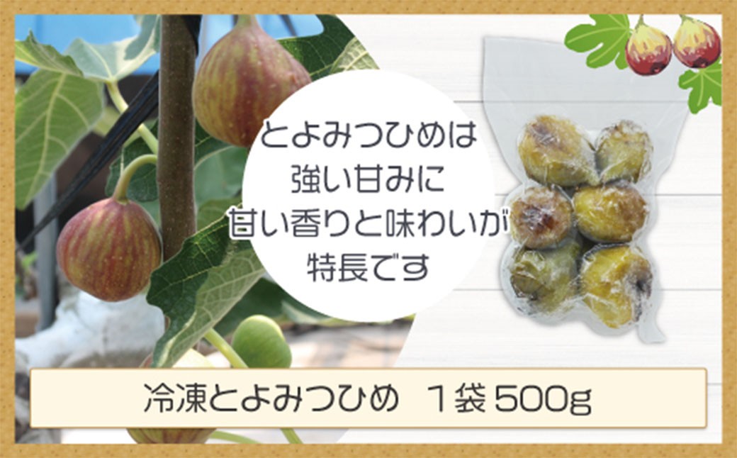 訳あり冷凍いちじく「とよみつひめ」2kg