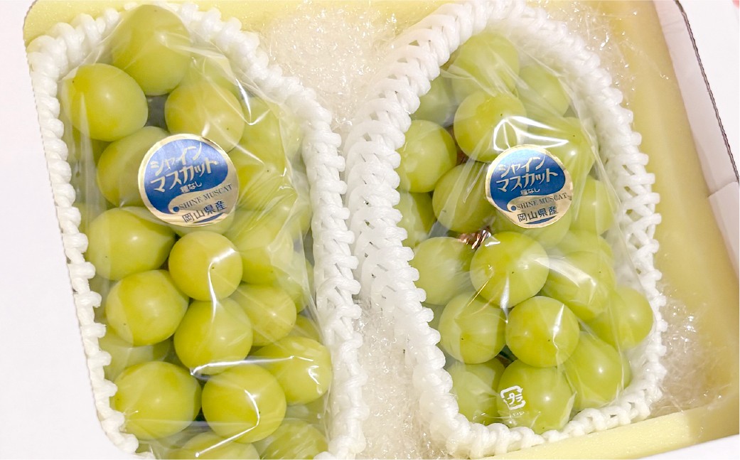 【訳あり】家庭用シャインマスカット 550g以上2房入り 1.1kg以上