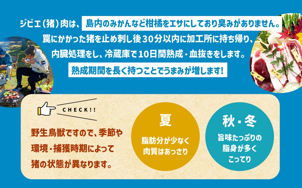 ジビエ BBQ付 1泊2日 キャンプ場 ご利用プラン【おひとり様用引換券】