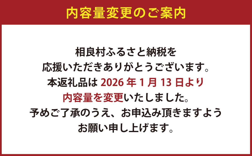 上煎茶（100g）×2袋 