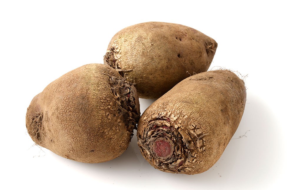 季節限定 ビーツ （レッドエース） 約4kg