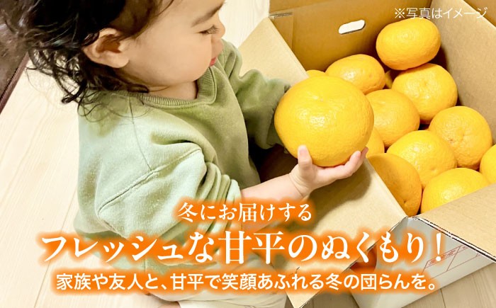 みかん ミカン 蜜柑 かんぺい 甘平 果物 くだもの フルーツ 愛媛県産 大洲市産 産地直送 おすすめ 人気