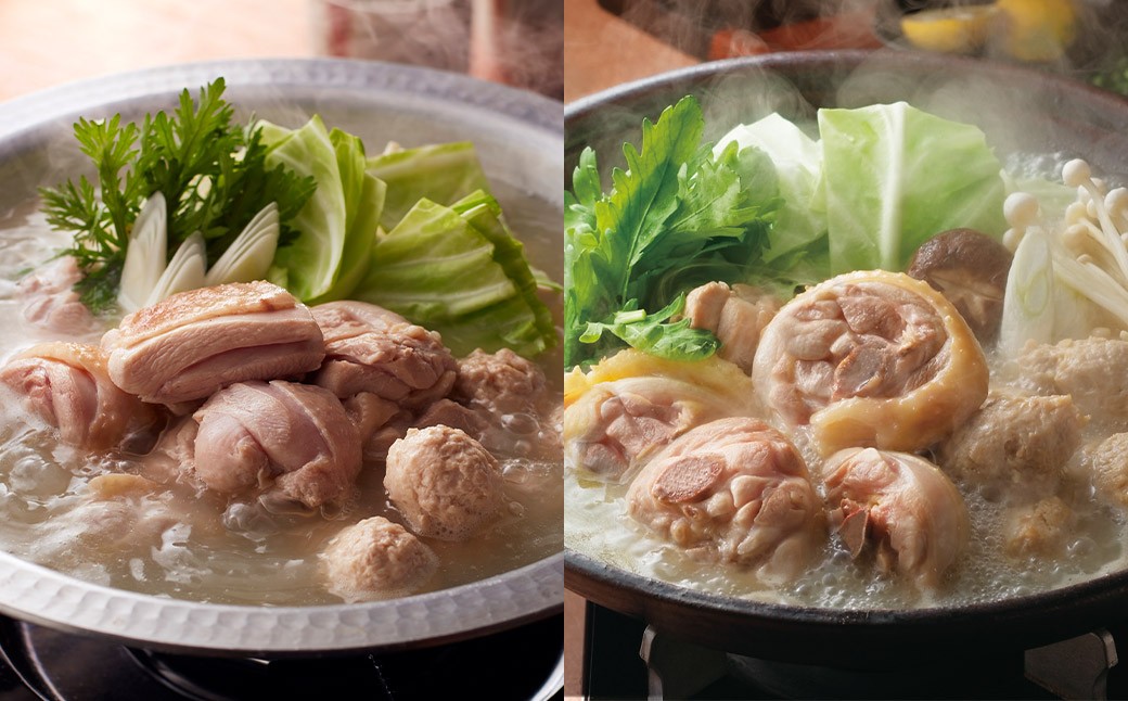 【隔月定期便（計6回発送）】博多名物 水炊き定期便