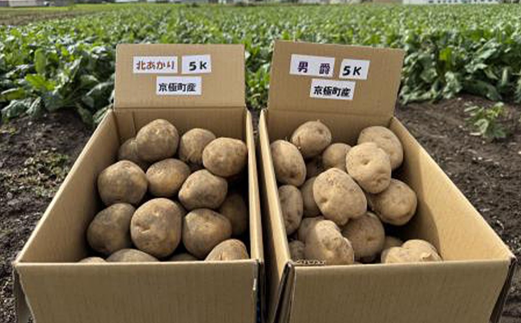 情熱じゃがいも（男爵・キタアカリ）食べ比べセット 5kg