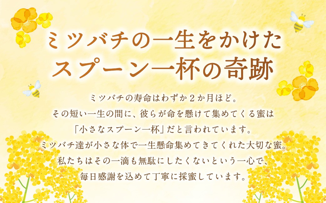 はちみつ 450g 蜂蜜 ハチミツ 蜜 みつ ミツ 常温 国産 愛媛県 【えひめの町（超）推し！（愛南町）】（327）