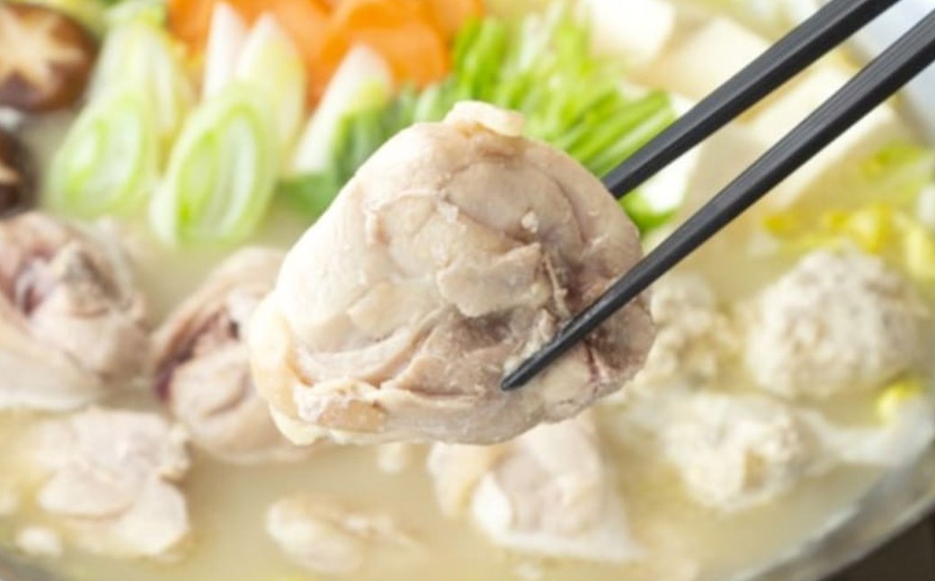 【隔月定期便（計6回発送）】博多名物 水炊き定期便