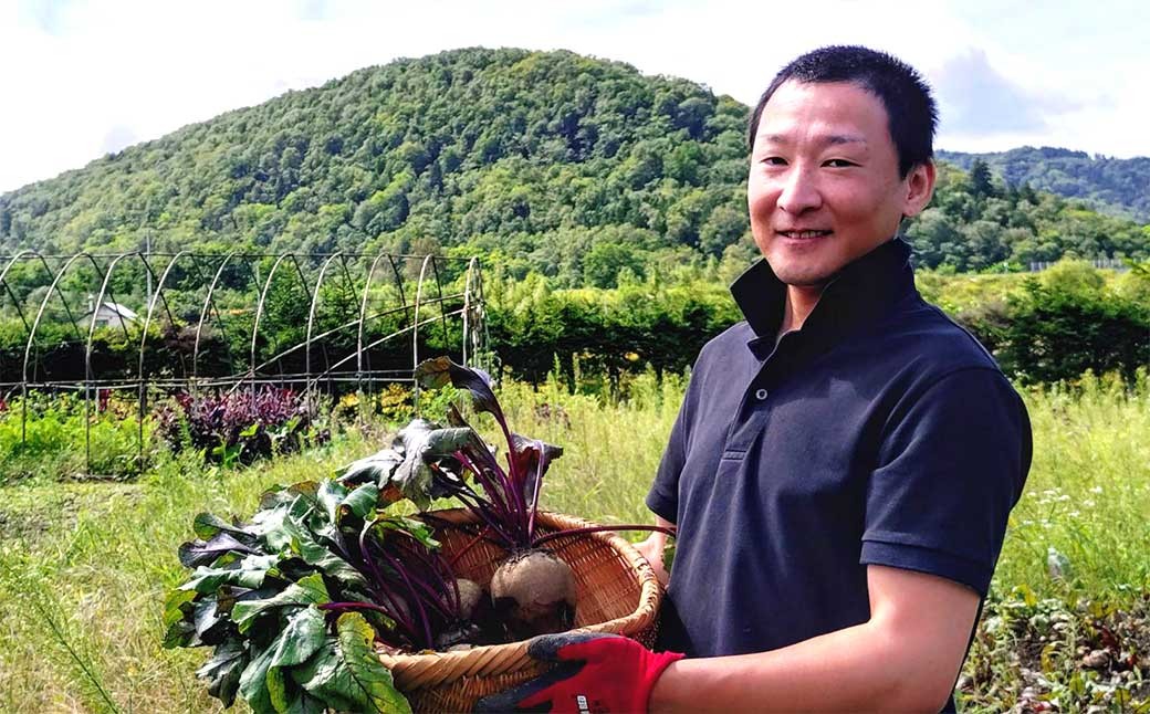 季節限定 ビーツ （レッドエース） 約3kg