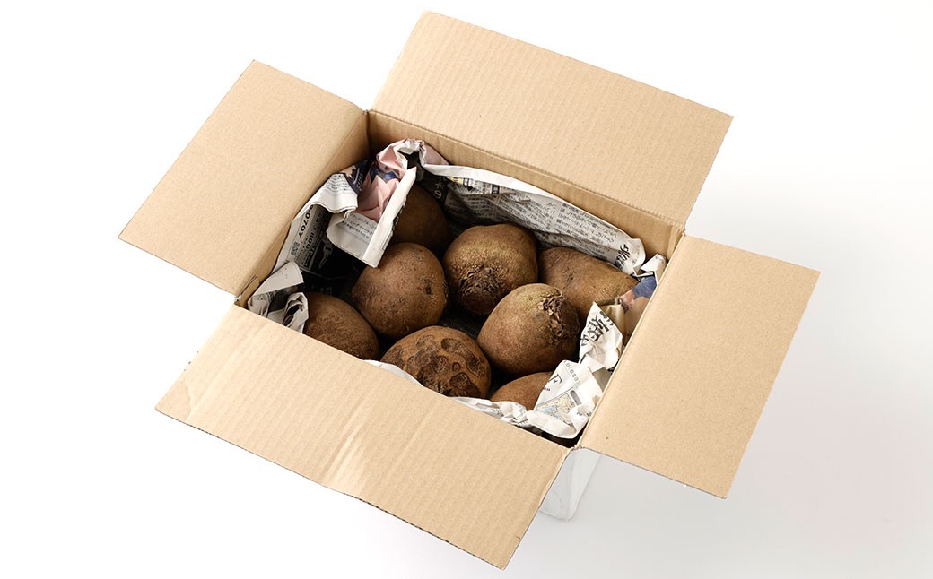 季節限定 ビーツ （レッドエース） 約4kg