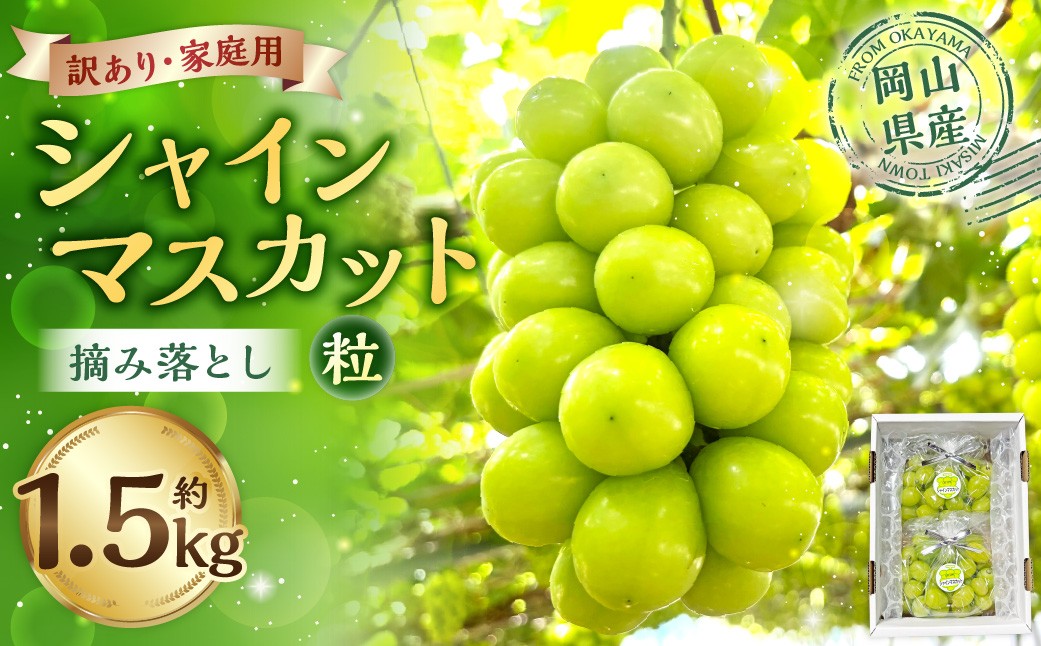 訳あり家庭用シャインマスカット摘み落とし