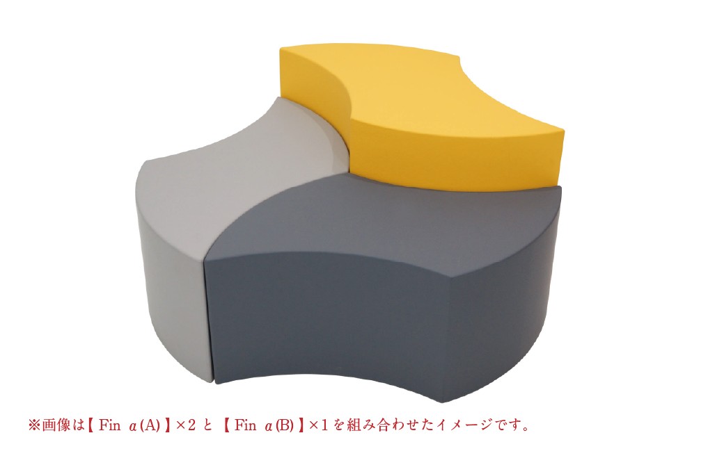 Fin α （B）