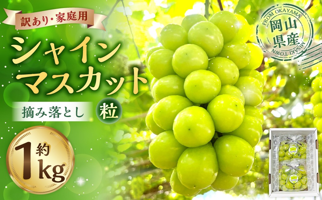 訳あり家庭用シャインマスカット摘み落とし