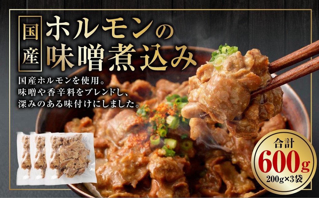 国産 ホルモンの味噌煮込み