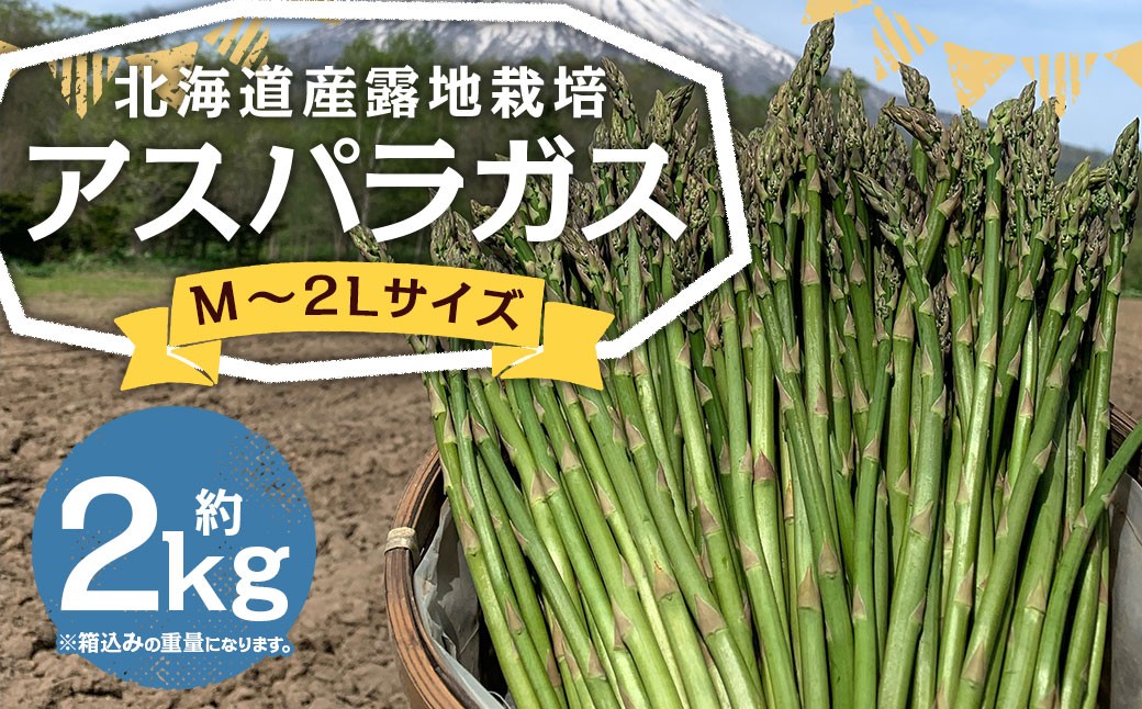 北海道産露地栽培アスパラガス M～2L 約2kg