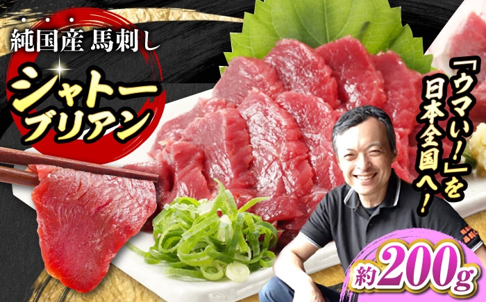 馬刺し ばさし 馬刺 馬 馬肉 肉 バサシ 赤身 赤身馬刺し シャトーブリアン チルド ブロック 九州 熊本