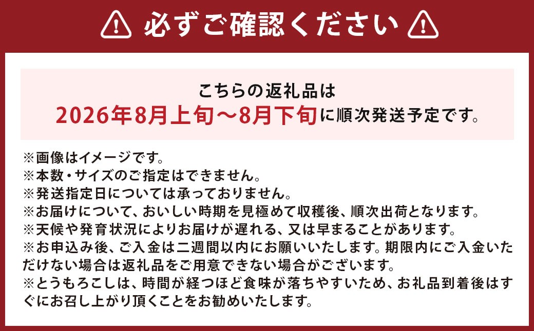北海道産 とうもろこし 恵味 2Lサイズ 22本 約8kg 1箱