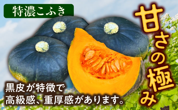 かぼちゃ カボチャ 特濃こふき  北海道産 足寄町 北海道