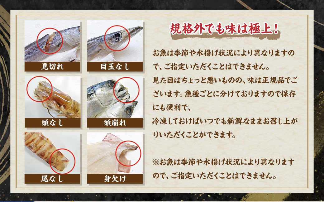 お任せ 訳あり干物24枚 魚介 海鮮 魚 おつまみ 酒の肴 海の幸 長崎