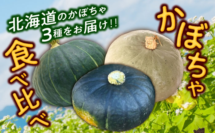 かぼちゃ カボチャ ダークホース とっておき 特濃こふき北海道産 足寄町 北海道