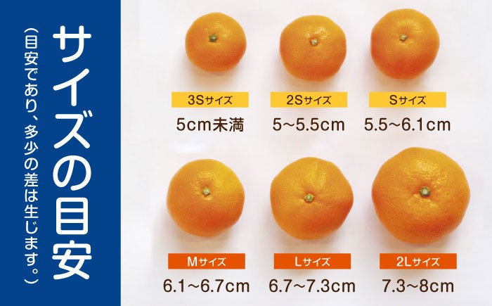 伊木力みかん 家庭用みかん 5kg みかん ミカン 蜜柑 フルーツ 果物