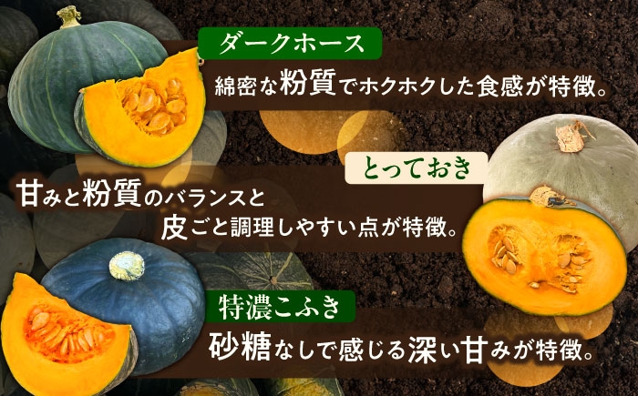かぼちゃ 訳あり ダークホース とっておき 特濃こふき北海道産 規格外 セット