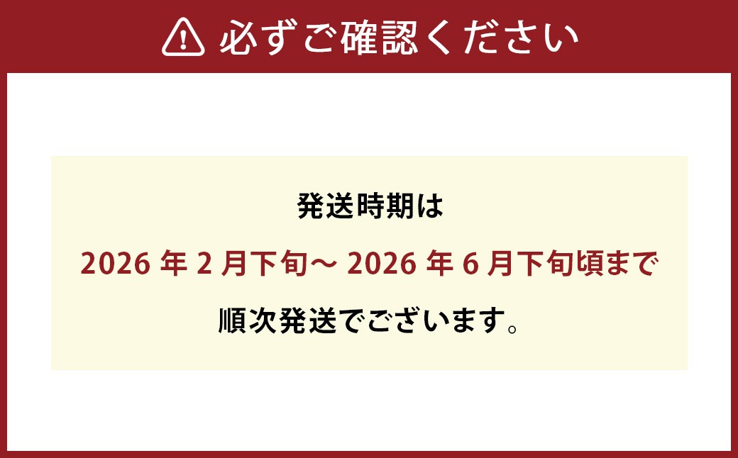 パクパクデコ 10kg バラ詰め 訳あり（B品）