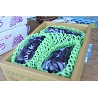 脱粒を極力減らすため緩衝材に包んで発送いたします