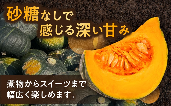 かぼちゃ カボチャ 特濃こふき  北海道産 足寄町 北海道