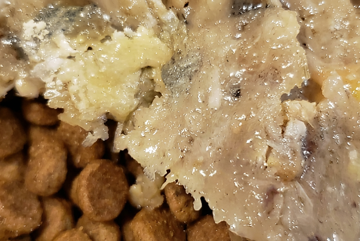 鮎フレーク　40g入り