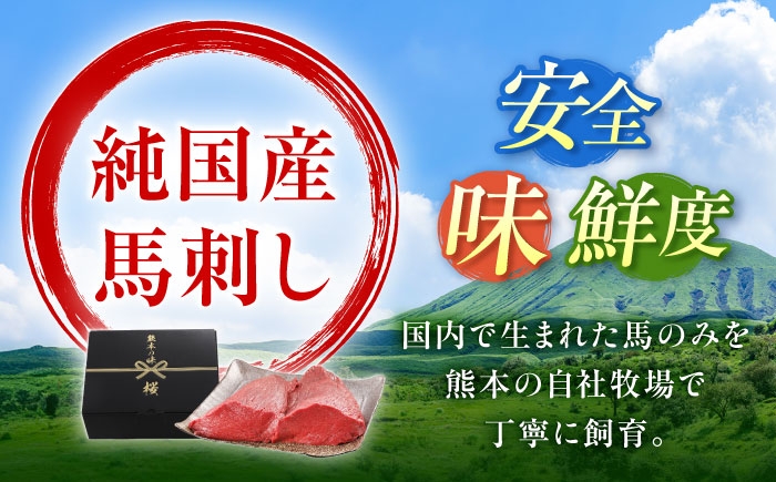 馬刺し ばさし 馬刺 馬 馬肉 肉 バサシ 赤身 赤身馬刺し シャトーブリアン チルド ブロック 九州 熊本