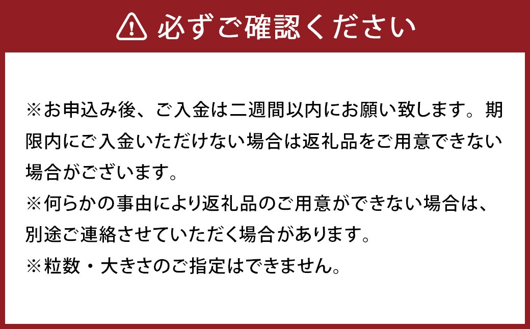 パクパクデコ 10kg バラ詰め 訳あり（B品）