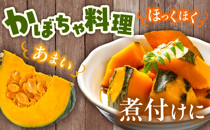 かぼちゃ カボチャ ダークホース とっておき 特濃こふき北海道産 足寄町 北海道