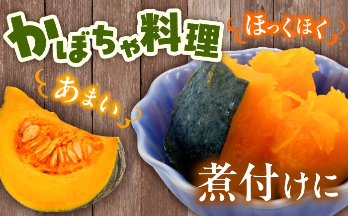 かぼちゃ カボチャ 特濃こふき  北海道産 足寄町 北海道