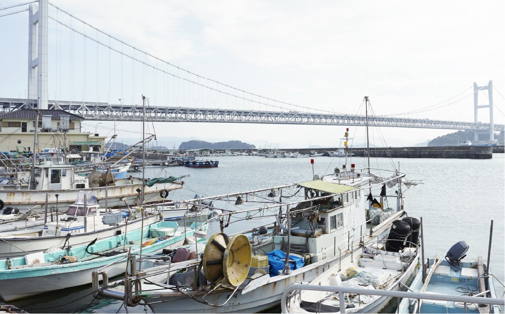 「こどものための味付のり」含む6点セット