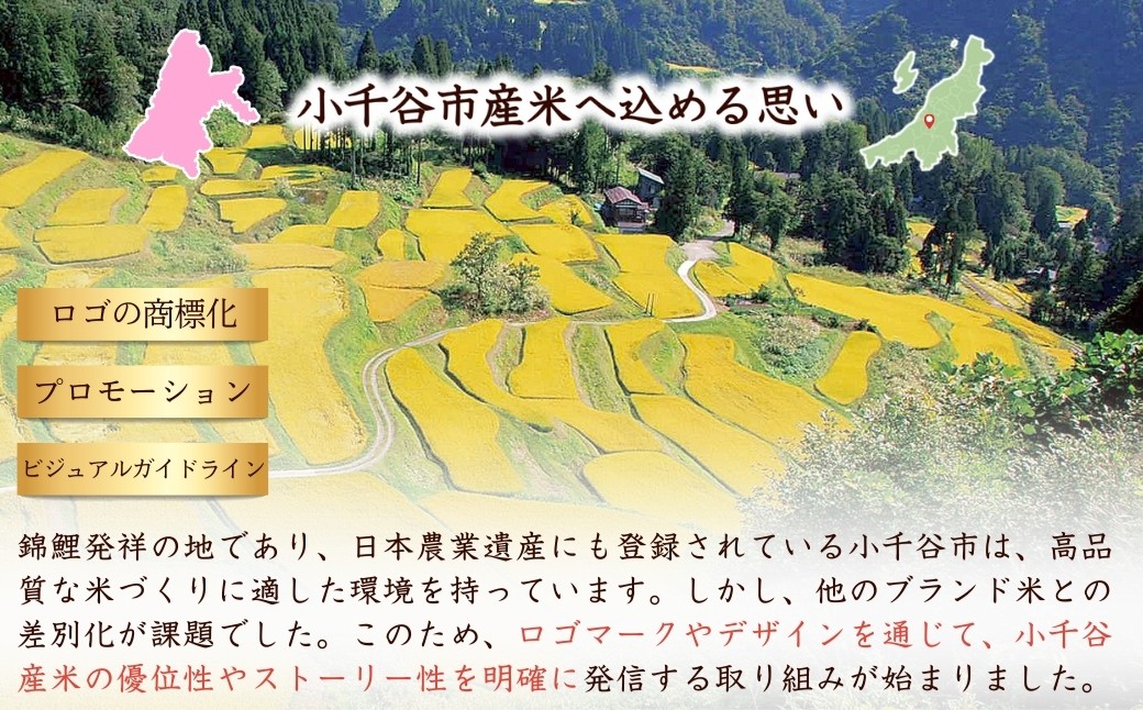 小千谷市が認証するブランド米「錦の実り」と棚田米の食べ比べをお届け