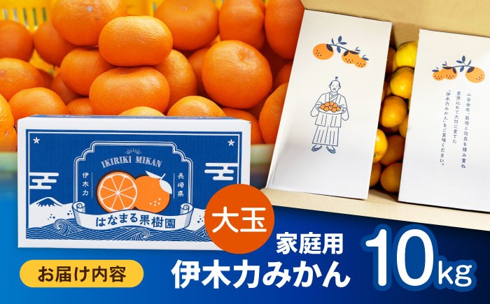伊木力みかん 大玉 10kg みかん ミカン 蜜柑 柑橘 フルーツ 果物